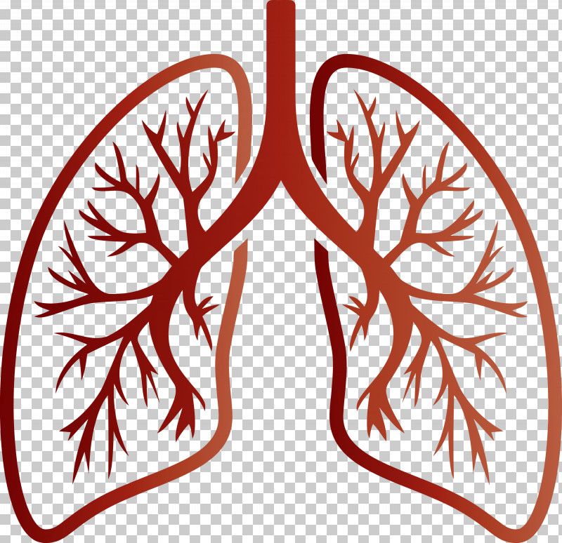 Lungs COVID Corona Virus Disease PNG, Clipart, Corona Virus Disease, Covid, Leaf, Lungs, Ornament Free PNG Download