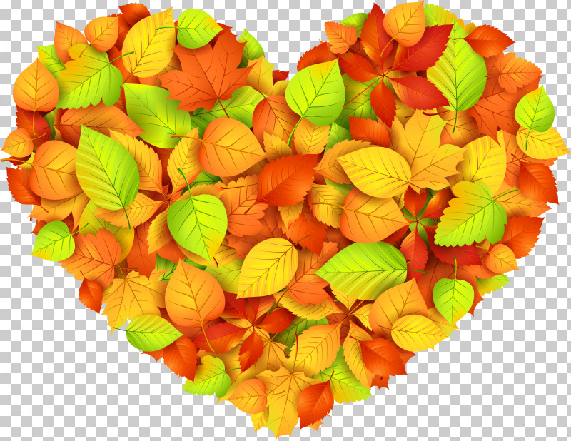 Orange PNG, Clipart, Candy, Confectionery, Cut Flowers, Food, Heart Free PNG Download