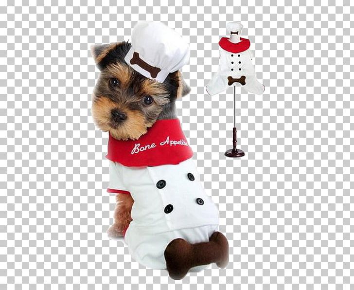 Dachshund Puppy Costume Chef Pet PNG, Clipart, Carnivoran, Chefs Uniform, Claws, Companion Dog, Dog Breed Free PNG Download