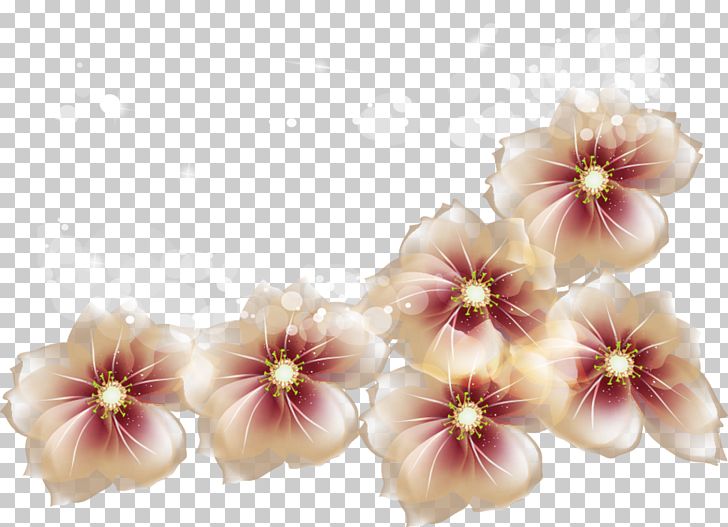 Ice Cream Peaches And Cream Flower PNG, Clipart, Blossom, Cut Flowers, Desktop Wallpaper, Floral Design, Floristry Free PNG Download