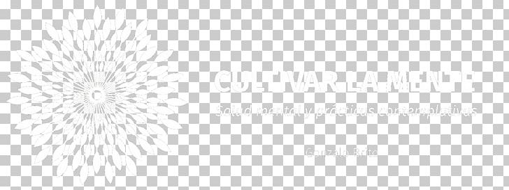 Light White Black PNG, Clipart, Black, Black And White, Black Light, Light, Line Free PNG Download