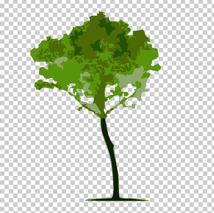 Tree Calliandra Brevipes Arbor Day PNG, Clipart, Afforestation, Arbor Day, Branch, Drawing, Elio Free PNG Download