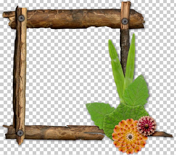 Twig Branch Frames Wood University Of Colorado Boulder PNG, Clipart, Branch, Computer, Download, Hard Drives, Miscellaneous Free PNG Download