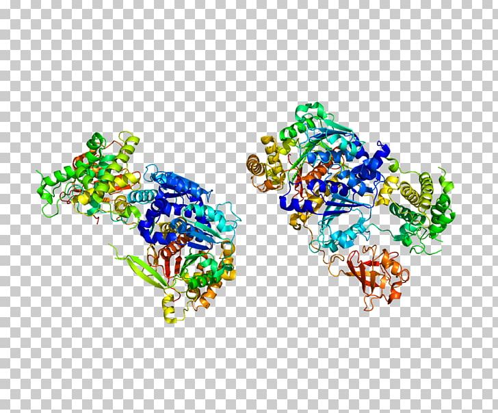 UBA2 SUMO Protein Small Ubiquitin-related Modifier 1 Enzyme PNG, Clipart, Art, Body Jewelry, Enzyme, Enzyme Inhibitor, Fashion Accessory Free PNG Download