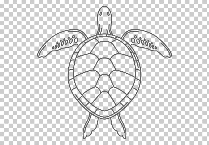 Green Sea Turtle Reptile Drawing PNG, Clipart, Animal, Animals, Aquatic Animal, Area, Art Free PNG Download