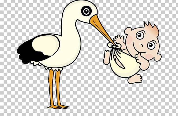 Infant Crane Childbirth PNG, Clipart, Artwork, Beak, Bird, Child, Childbirth Free PNG Download