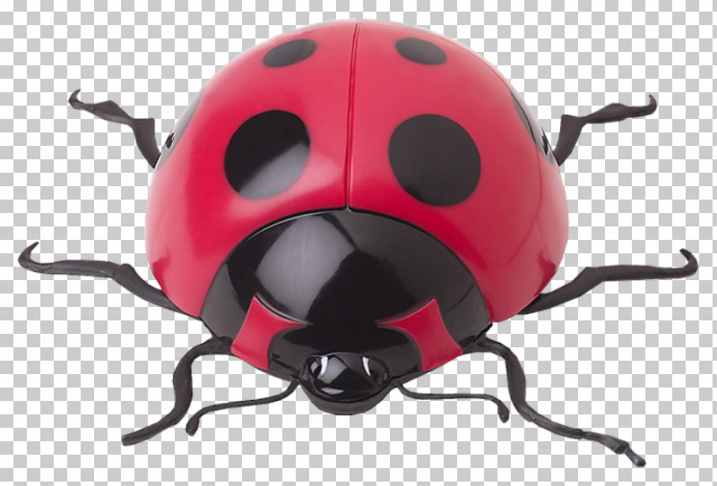 Ladybug PNG, Clipart, Beetle, Insect, Ladybug, Leaf Beetle Free PNG Download
