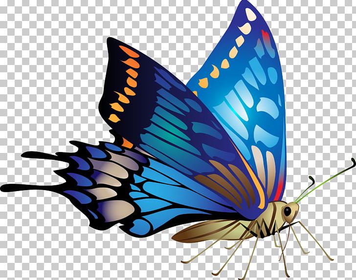 Butterfly Flower PNG, Clipart, Arthropod, Brush Footed Butterfly, Butterflies And Moths, Butterfly, Butterfly Flower Free PNG Download