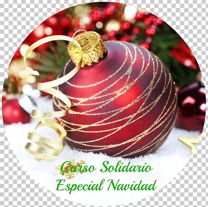 Desktop Christmas Day Holiday Christmas Ornament PNG, Clipart, Christmas Day, Christmas Decoration, Christmas Ornament, Computer, Cranberry Free PNG Download
