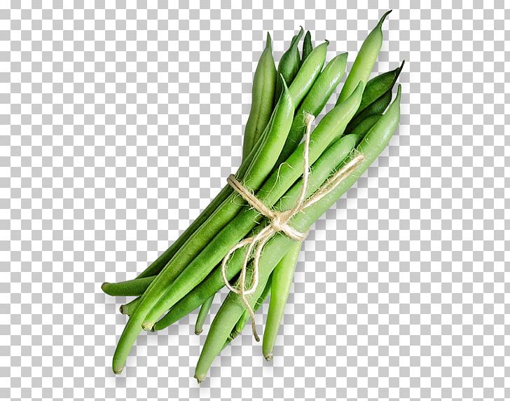 Green Bean Vegetarian Cuisine Lima Bean Common Bean PNG, Clipart, Asparagus, Bean, Broad Bean, Christian Worship, Commodity Free PNG Download