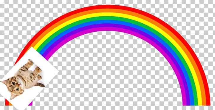 Rainbow Stock Photography PNG, Clipart, Circumhorizontal Arc, Drawing, Kaari, Line, Meteorological Phenomenon Free PNG Download