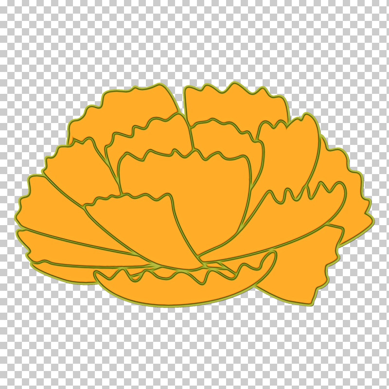 Orange PNG, Clipart, Cabbage, Carnation, Flower, Leaf, Orange Free PNG Download