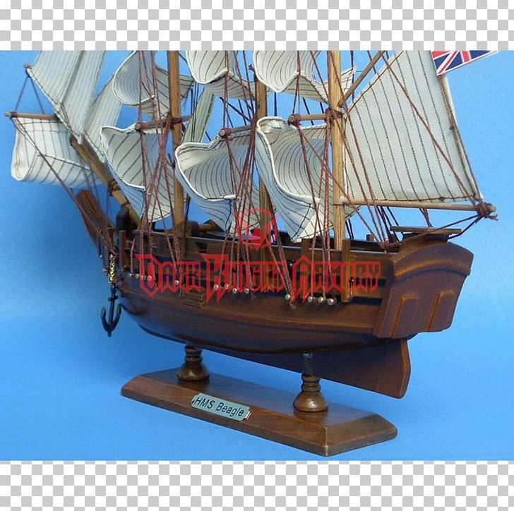 Brig The Voyage Of The Beagle Barque Ship Model PNG, Clipart, Baltimore Clipper, Brig, Caravel, Carrack, Galiot Free PNG Download