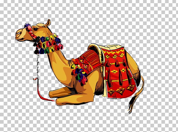 Dromedary Bactrian Camel PNG, Clipart, Arabian Camel, Bactrian Camel, Buff Cratoon Camel, Camel, Camel Like Mammal Free PNG Download
