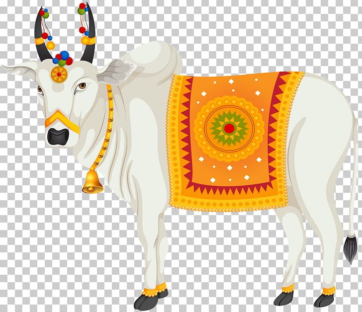 indian cow png