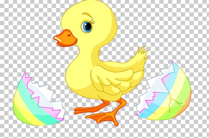 Duck Easter PNG, Clipart, Animal Figure, Baby Duck Cliparts, Beak, Bird, Chicken Free PNG Download