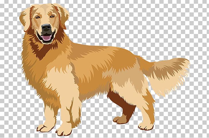 Golden Retriever Nova Scotia Duck Tolling Retriever Ancient Dog Breeds Companion Dog PNG, Clipart, Black Russian Terrier, Breed, Breed Group Dog, Carnivoran, Dachshund Free PNG Download