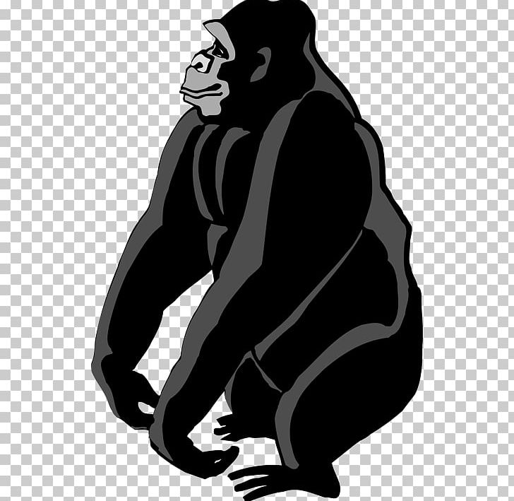 Gorilla PNG, Clipart, Animals, Bear, Black, Black And White, B W Free PNG Download