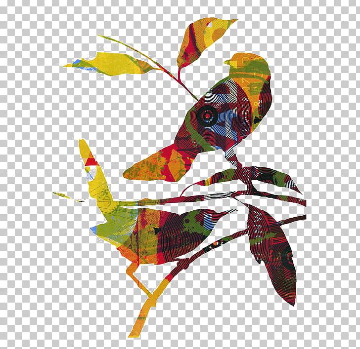 Bird Paper Collage Illustration PNG, Clipart, Art, Beak, Bird, Bird Cage, Bird Nest Free PNG Download