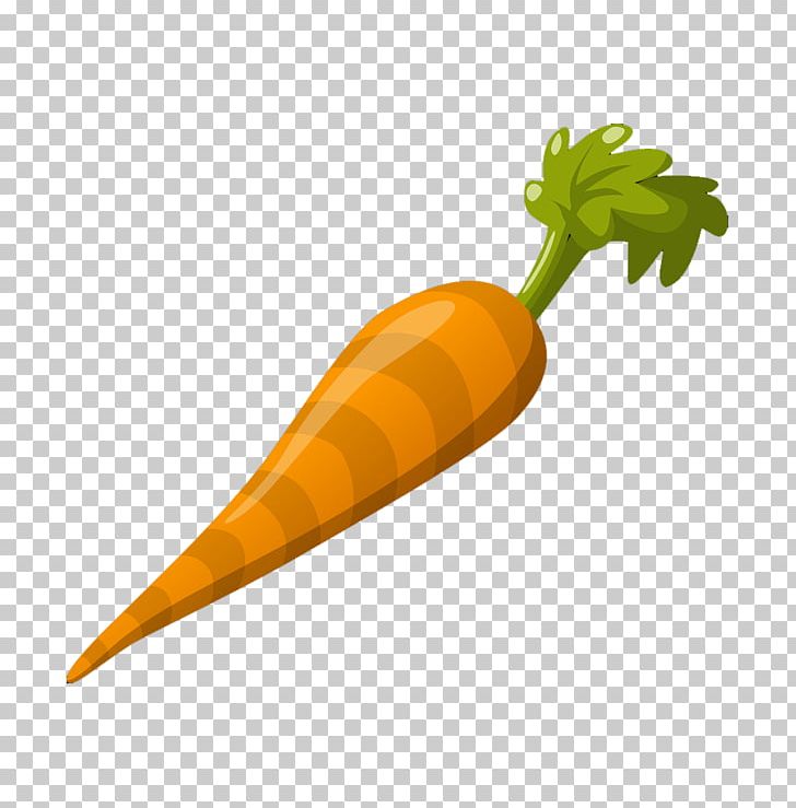Carrot Juice Vegetable Asian Ginseng Vitamin PNG, Clipart, Asian Ginseng, Balloon Cartoon, Beetroot, Boy Cartoon, Broccoli Free PNG Download