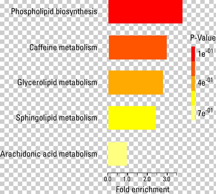 Metabolomics Lipidomics Exosome Metabolic Profiling: Methods And Protocols Metabolome PNG, Clipart, Acute Myeloid Leukemia, Analysis, Angle, Area, Brand Free PNG Download