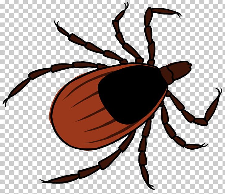Tick DEET Household Insect Repellents Weevil PNG, Clipart, Arthropod, Artwork, Beetle, Bumper Crop, Crop Free PNG Download