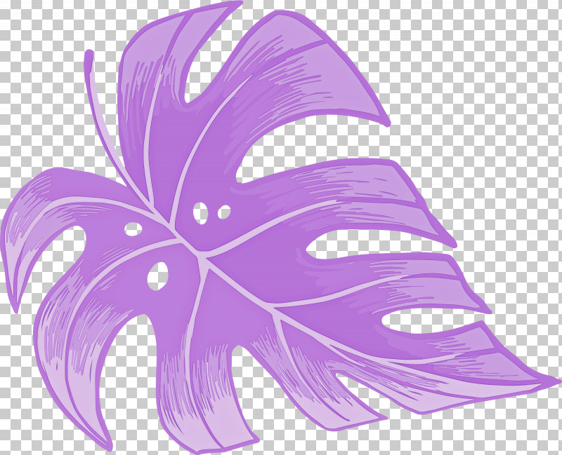 Leaf PNG, Clipart, Biology, Flower, Leaf, Line, Petal Free PNG Download