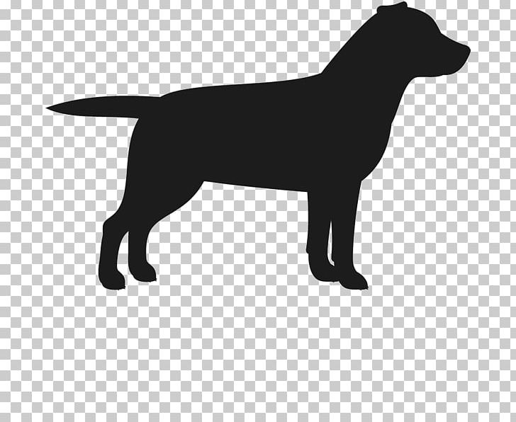 Labrador Retriever Puppy Staffordshire Bull Terrier Dog Breed PNG, Clipart, Black, Black And White, Border Terrier, Bulldog, Bull Terrier Free PNG Download