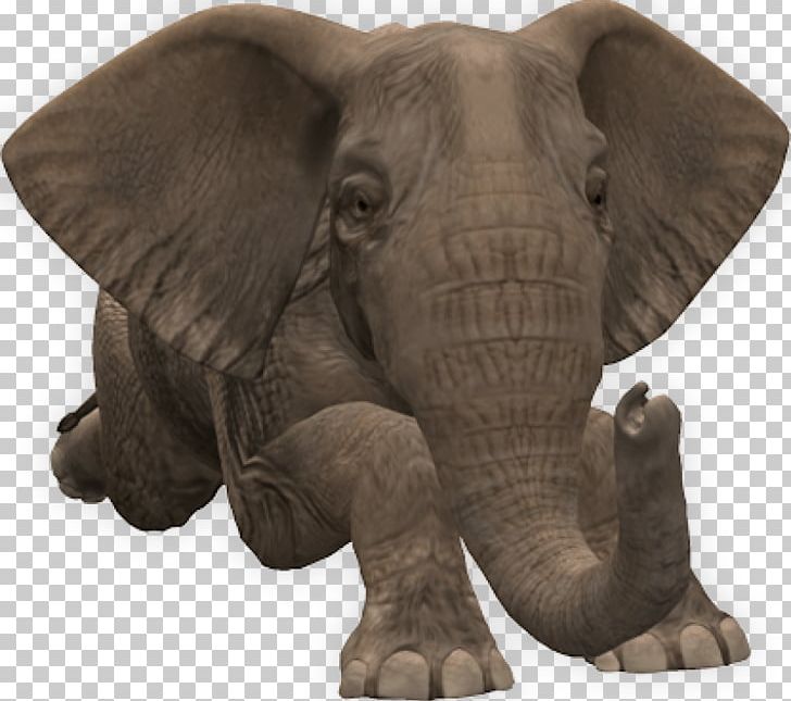Portable Network Graphics Elephants File Format Computer File PNG, Clipart, African Elephant, Animals, Digital Image, Elephants, Elephants And Mammoths Free PNG Download