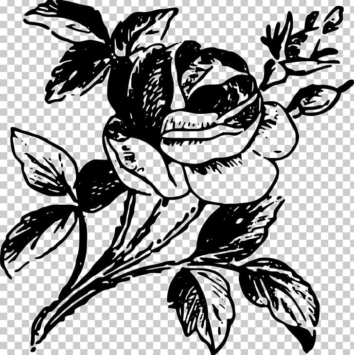 Rose Drawing PNG, Clipart, Art, Artwork, Bird, Black And White, Branch Free PNG Download