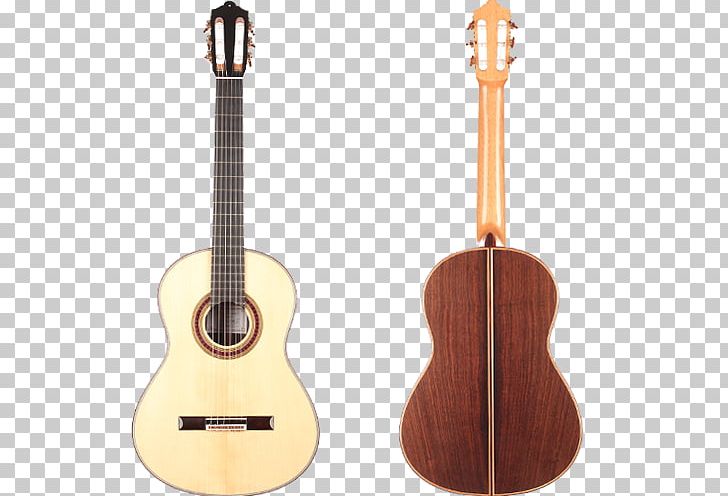 Tiple Acoustic Guitar Bass Guitar Ukulele Cuatro PNG, Clipart, Acoustic Electric Guitar, Bass Guitar, Cavaquinho, Classical Guitar, Cuatro Free PNG Download