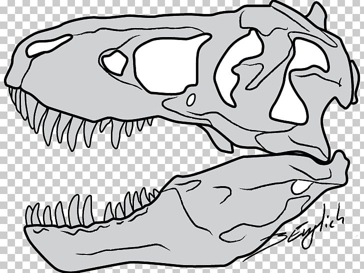 Tyrannosaurus Drawing Skull Dinosaur Sketch PNG, Clipart, Beak, Black And White, Bone, Carnivoran, Dinosaur Free PNG Download