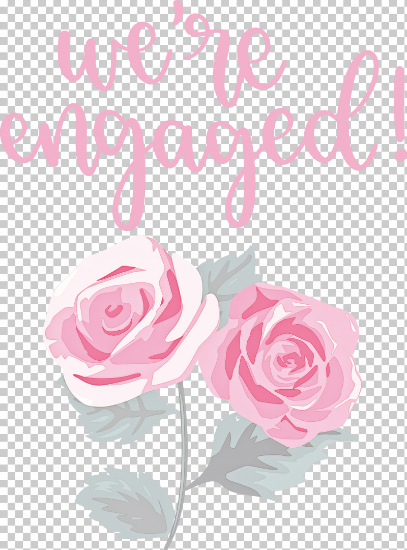 We Are Engaged Love PNG, Clipart, Cabbage Rose, Cut Flowers, Floral Design, Flower, Garden Free PNG Download