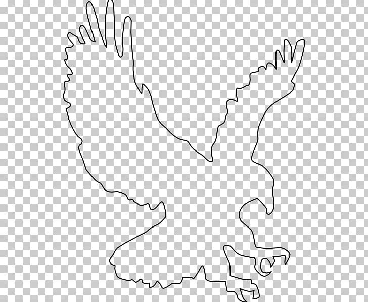 Beak Drawing Eagle PNG, Clipart, Angle, Area, Beak, Black, Black And White Free PNG Download