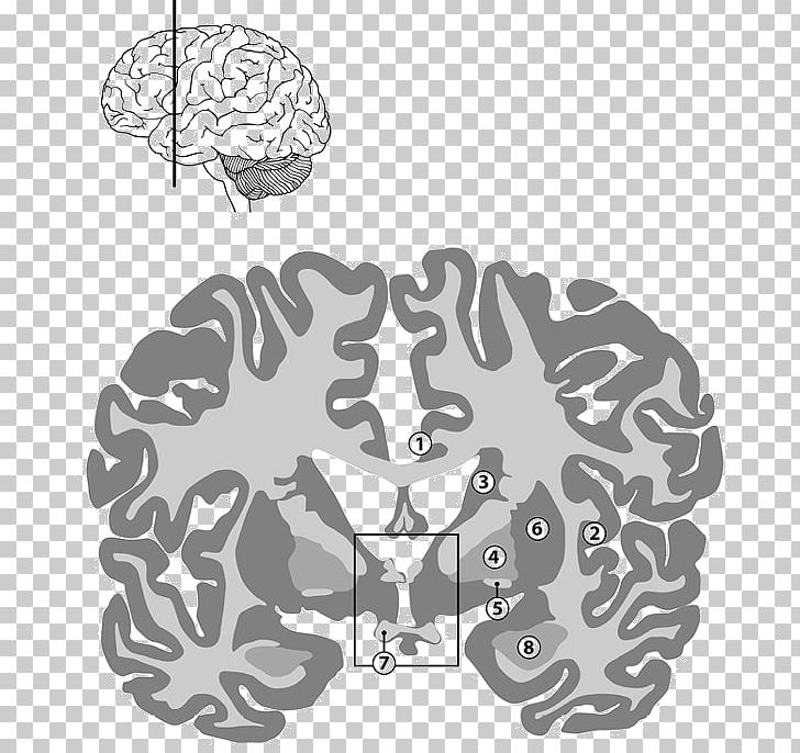 Brain Human Behavior Tree PNG, Clipart, Animal, Behavior, Black And White, Brain, Homo Sapiens Free PNG Download