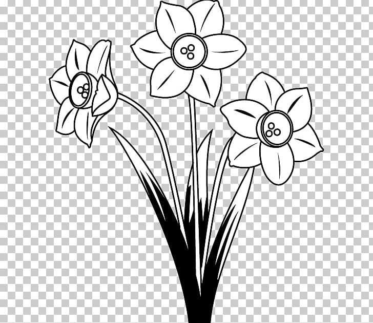 Floral Design Flower Drawing Art PNG, Clipart, Artwork, Black And White, Coloring Book, Cut Flowers, Daffodil Free PNG Download