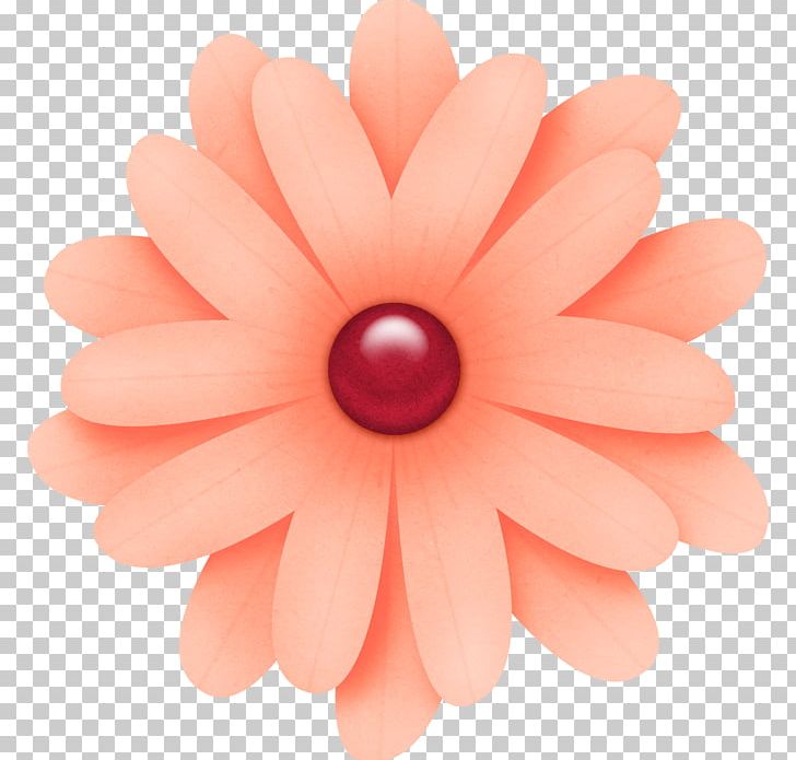 Petal Flower PNG, Clipart, Cicek, Cicek Resimleri, Closeup, Finger, Flower Free PNG Download