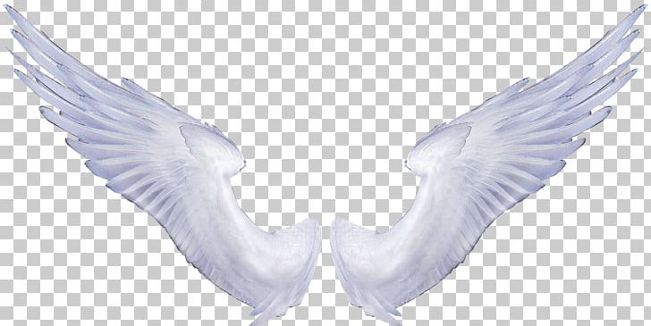 Angel Wings Drawing PNG, Clipart, Angel, Angel Wings, Beak, Bird, Chiacchiere Free PNG Download
