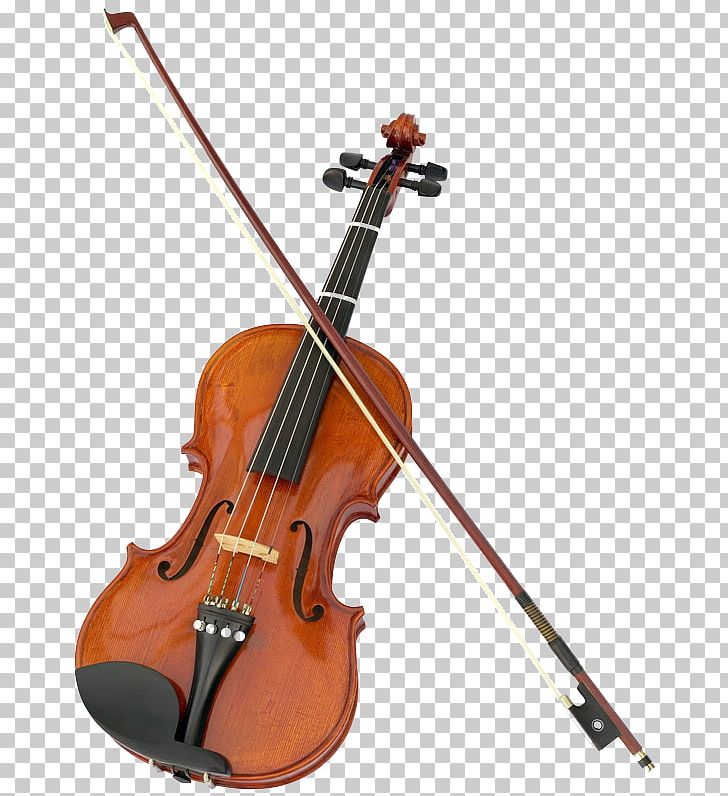 Violin String Instruments PNG, Clipart, Bass Guitar, Bass Violin, Bow, Bowed String Instrument, Cellist Free PNG Download
