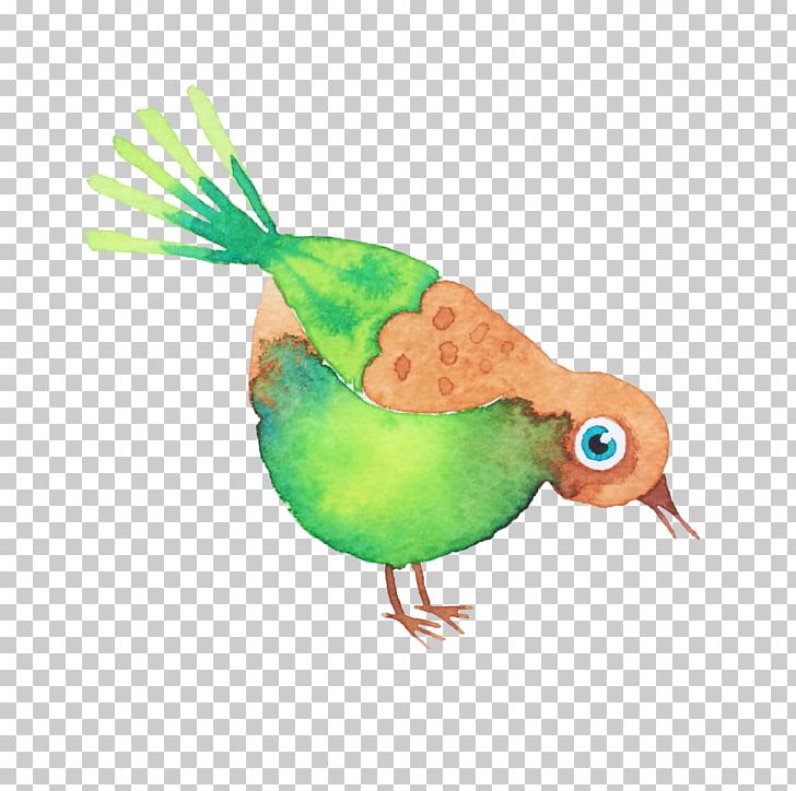 Bird Watercolor Painting Drawing PNG, Clipart, Animal, Animals, Animation, Balloon Cartoon, Beak Free PNG Download