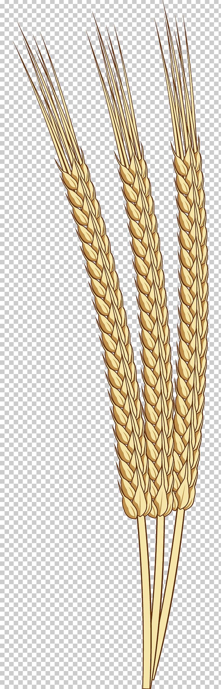 Rice Harvest Oat Autumn PNG, Clipart, Autumn Background, Autumn Harvest, Autumn Leaf, Cartoon, Cereal Free PNG Download