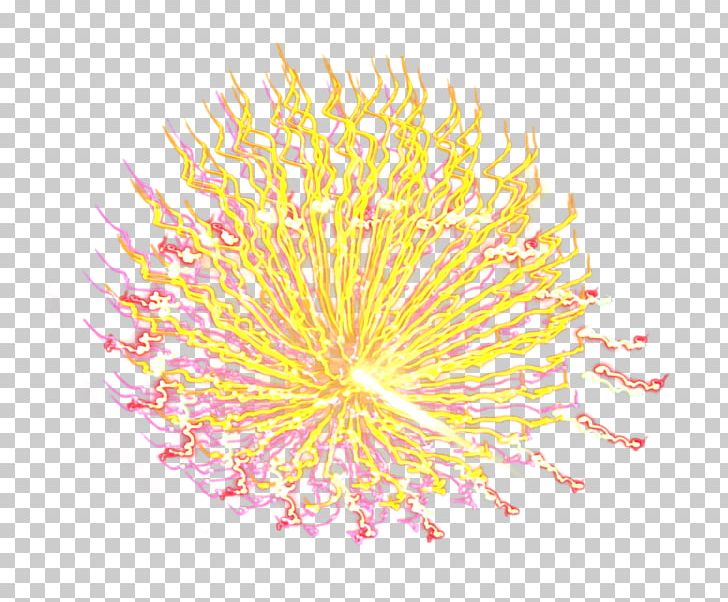 Yellow Petal Pattern PNG, Clipart, Celebrate, Circle, Countdown, Design, Effects Free PNG Download