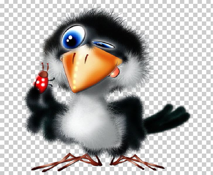 Bird Cartoon Desktop PNG, Clipart, Animals, Animation, Beak, Bird, Cartoon Free PNG Download