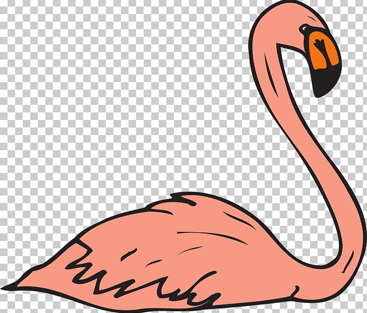 Flamingo Free Content PNG, Clipart, Animal, Animals, Beak, Bird, Computer Free PNG Download