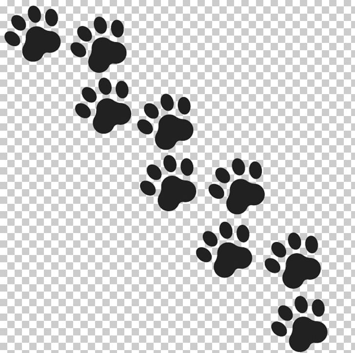 Gray Wolf Paw PNG, Clipart, Animal, Art, Black, Black And White, Circle Free PNG Download