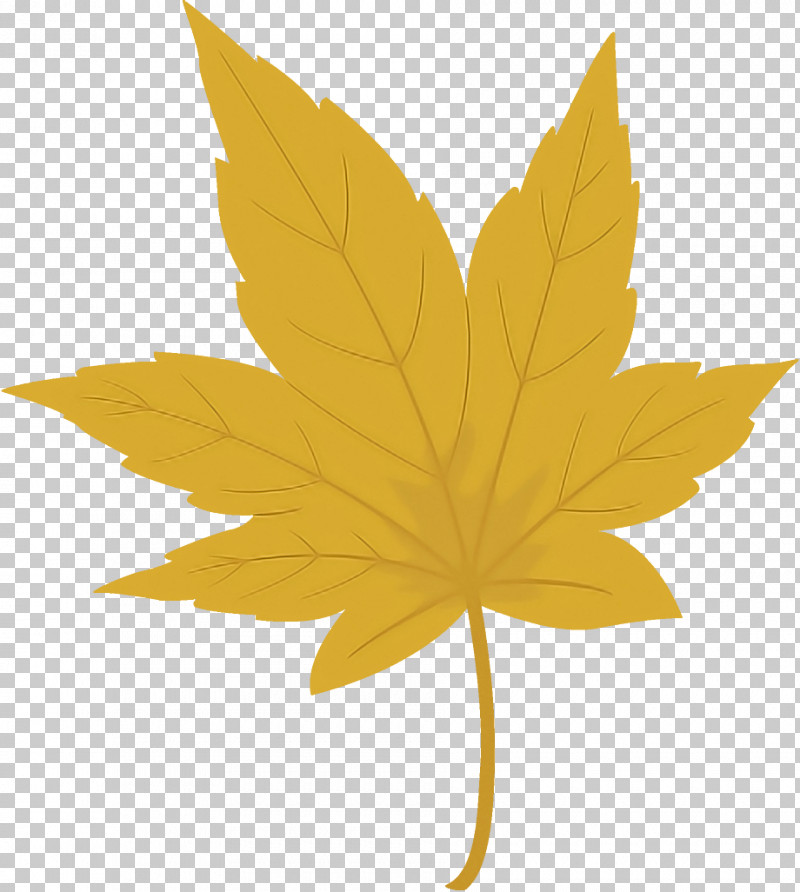 Maple Leaf Autumn Leaf Yellow Leaf PNG, Clipart, Autumn Leaf, Black Maple, Deciduous, Flower, Leaf Free PNG Download