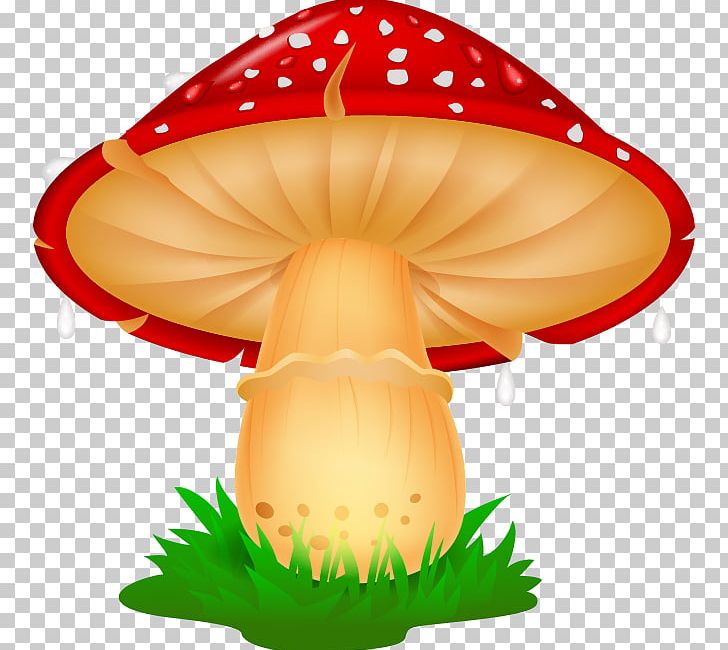 Mushroom Photography Illustration PNG, Clipart, Balloon Cartoon, Beautifully Vector, Boy Cartoon, Cartoon Character, Cartoon Cloud Free PNG Download