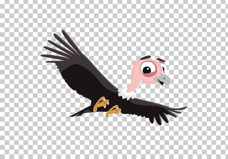 Turkey Vulture PNG, Clipart, Andean Condor, Beak, Bearded Vulture, Bird, Bird Of Prey Free PNG Download