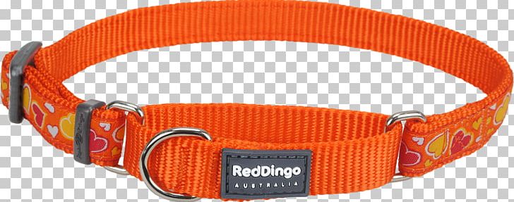 Dog Collar Martingale Dingo PNG, Clipart, Animals, Collar, Dingo, Dog, Dog Collar Free PNG Download