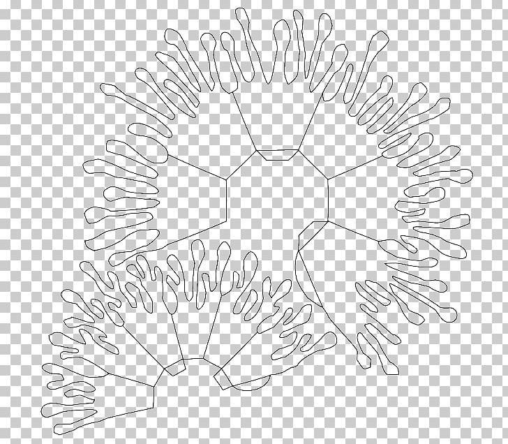 /m/02csf Line Art Petal Drawing PNG, Clipart, Angle, Area, Artwork, Black And White, Circle Free PNG Download